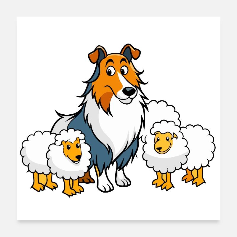 Blid Collie hyrde får - Poster 60x60 cm - hvid