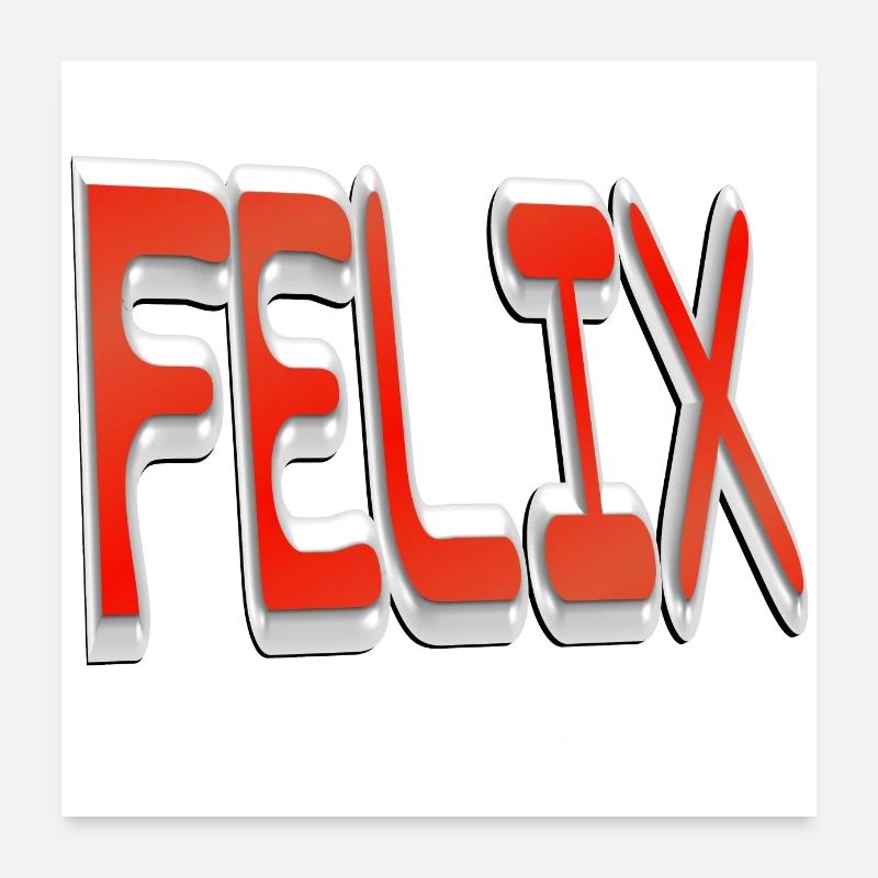 felix2 Poster 60x60 cm