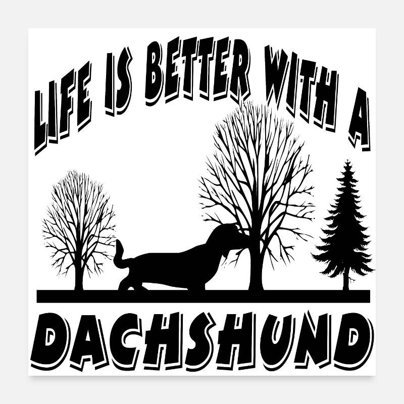 Dackel - Poster 60x60 cm - Weiß