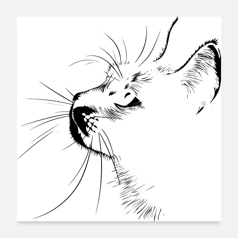Chat, Motif De Chat, Visage De Chat Poster 60 x 60 cm