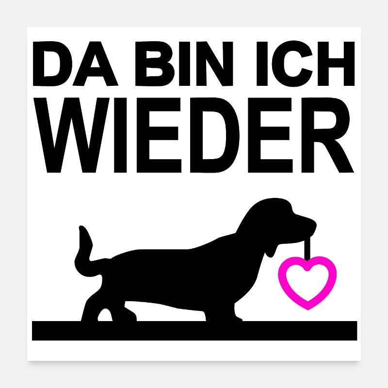 Dackel - Poster 60x60 cm - Weiß