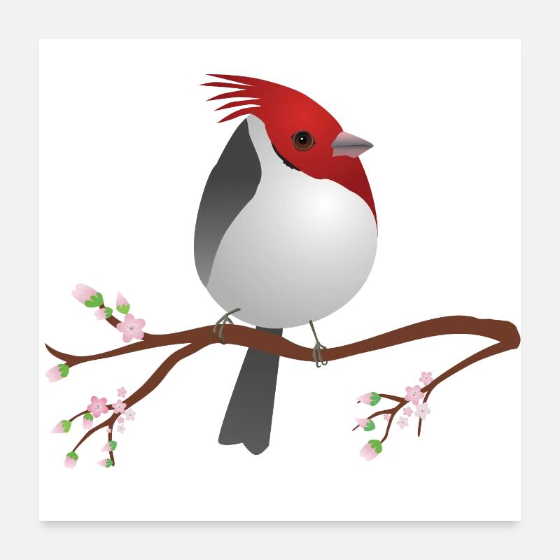 Mignon cardinal à crête rouge Poster 60 x 60 cm