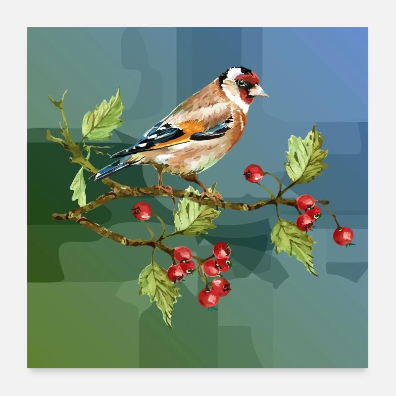 Oiseau coloré Poster 60 x 60 cm