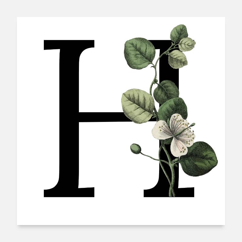 Letter H Botanical Green Poster 24" x 24" (60x60 cm)