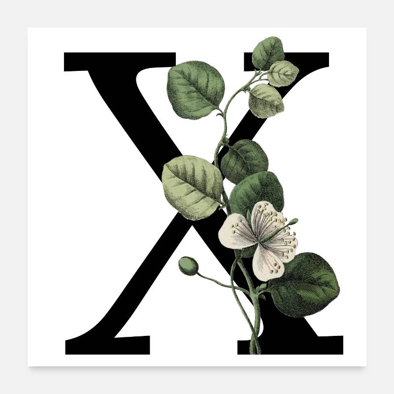 lettre x botanique vert Poster 60 x 60 cm