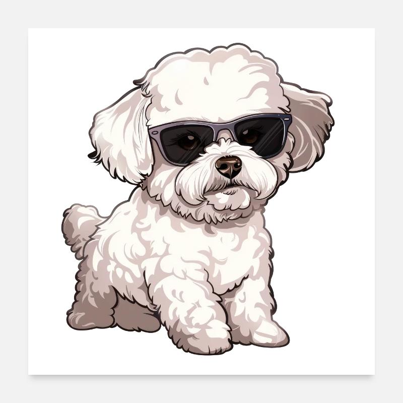 Bichon Frise, Bichon Frisé, Dog, Sunglasses Poster 24" x 24" (60x60 cm)