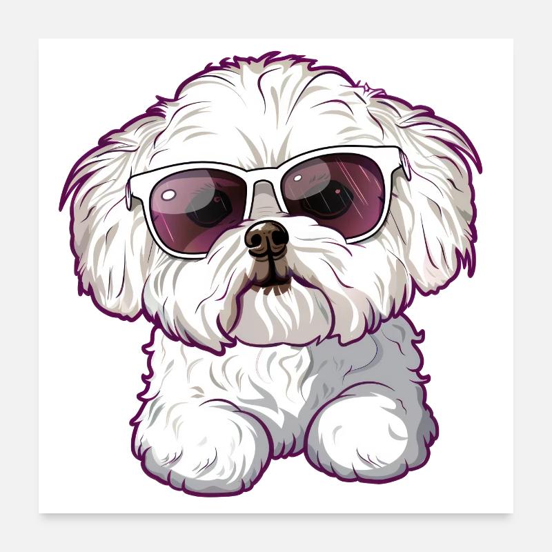 Bichon Frisé, Bichon Frise, Dog, Sunglasses Poster 24" x 24" (60x60 cm)