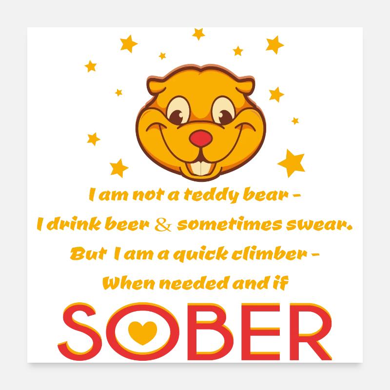 Teddy Bear Funny Rhyme - I'm Not a Teddy Bear Poster 24" x 24" (60x60 cm)