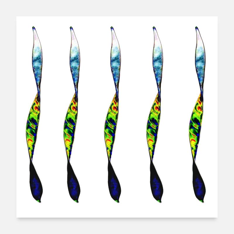 paire torsadée Poster 60 x 60 cm