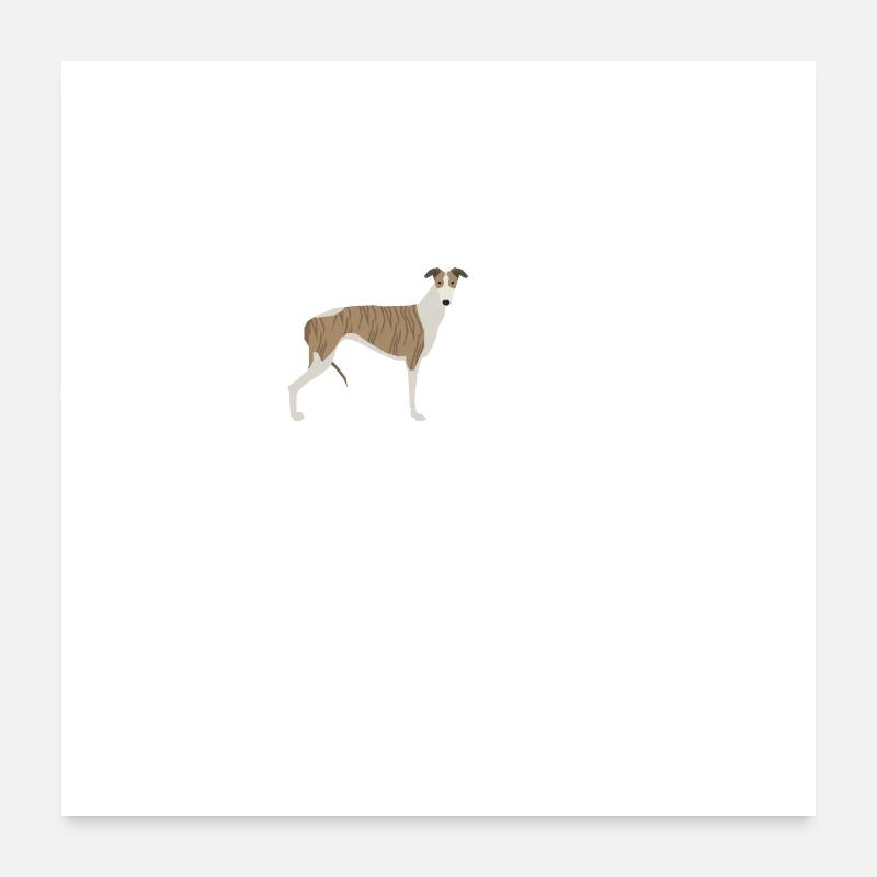 Whippet-Herzschlag Poster 60x60 cm