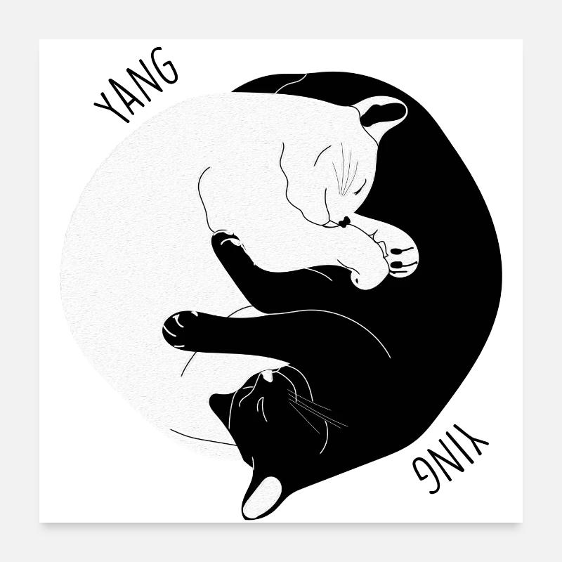 I Ching Cat Poster 24" x 24" (60x60 cm)
