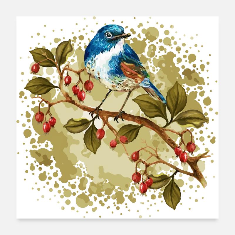 Oiseau coloré Poster 60 x 60 cm