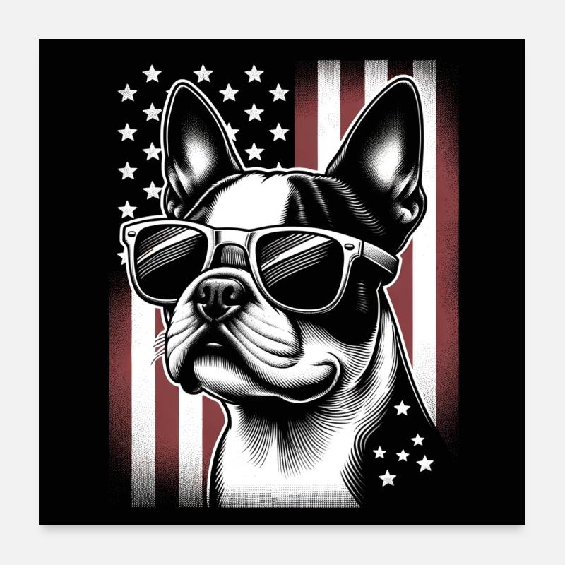 Boston Terrier Bostie with Sunglasses Poster 24" x 24" (60x60 cm)