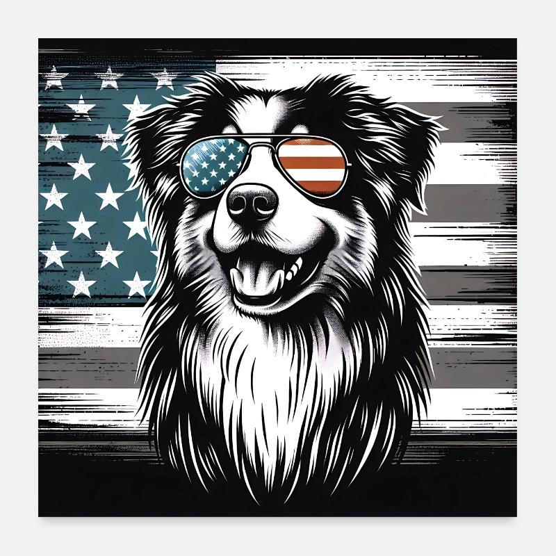 Berger australien avec drapeau américain Poster 60 x 60 cm