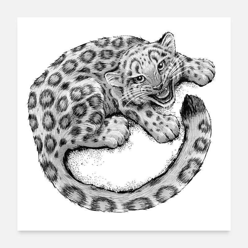 Snow Leopard Cub Poster 24" x 24" (60x60 cm)