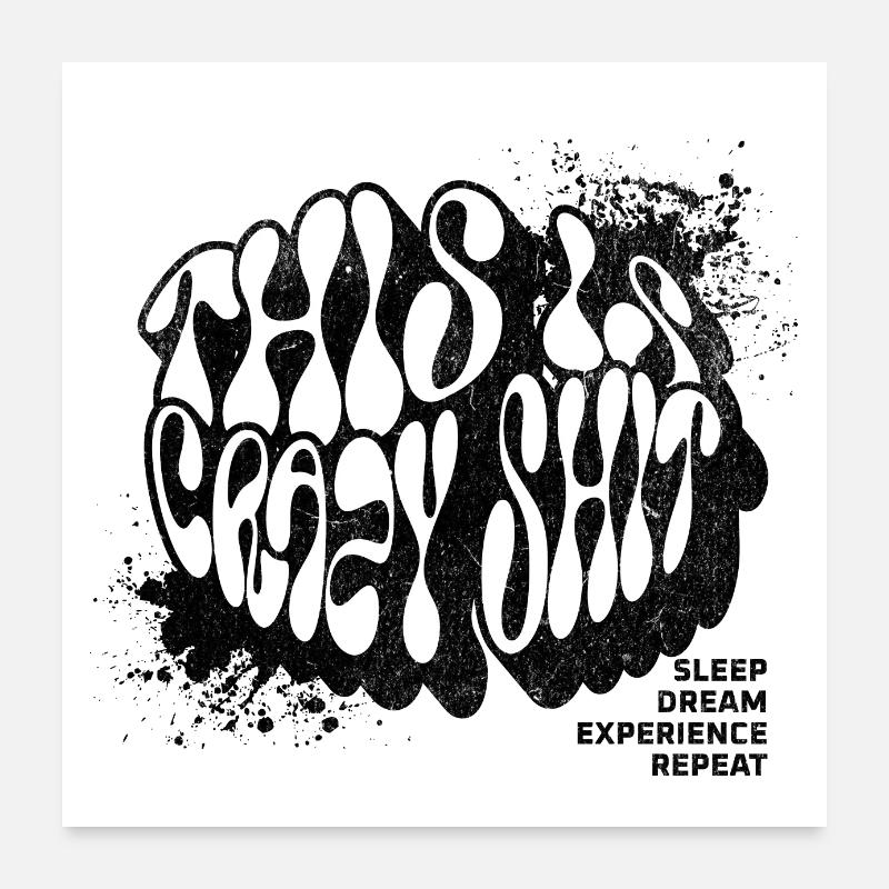 Crazy Shit. Sleep. Dreams. Learn. Repeat. Poster 24" x 24" (60x60 cm)