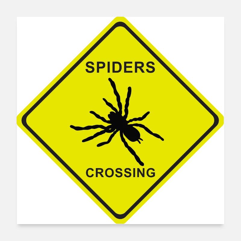 SPIDERS SCROSSING Poster 60x60 cm