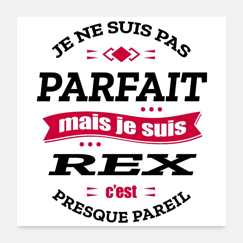 REX PARFAIT - PRENOM REX Poster 60 x 60 cm
