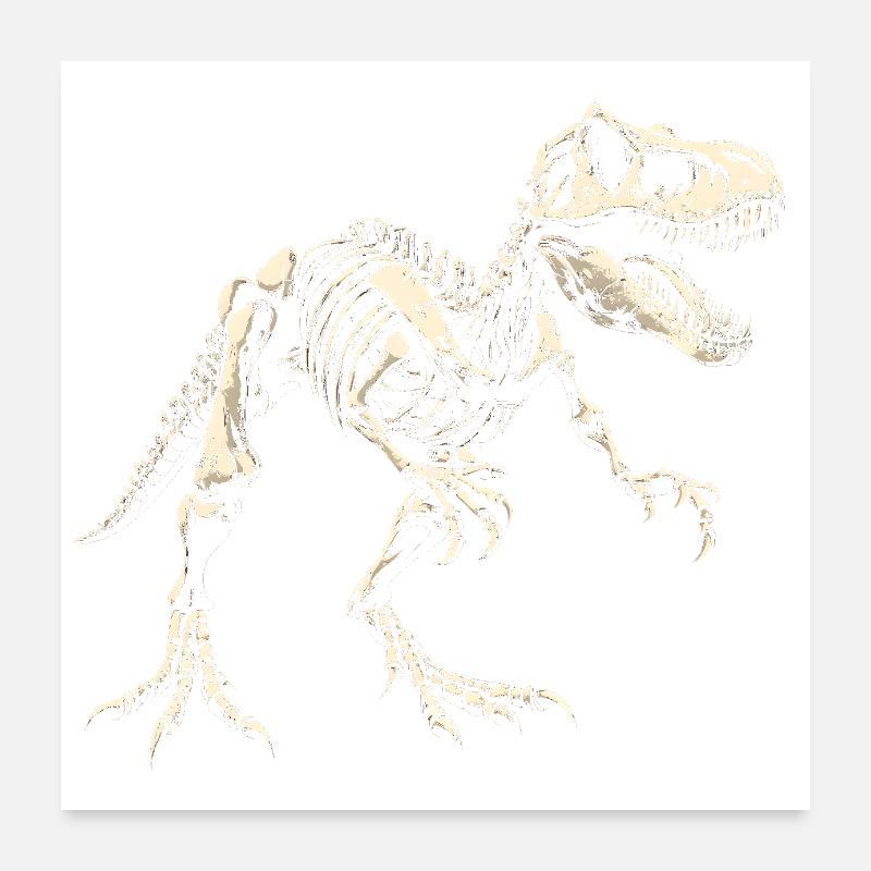 T-Rex Skeleton Dinosaur Dino Poster 24" x 24" (60x60 cm)