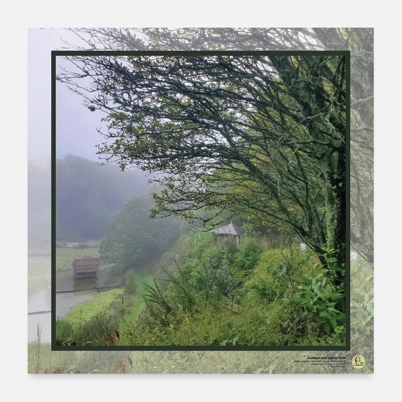 La cabane sous la pluie, Brest, format carré Poster 60 x 60 cm