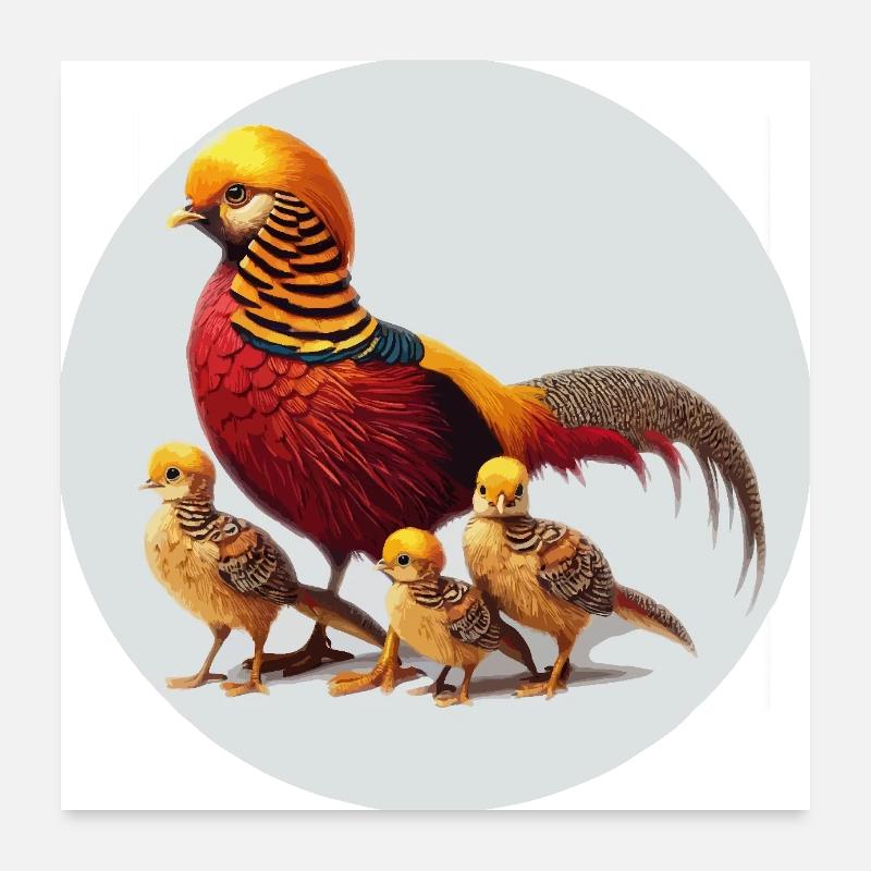 Goldfasan mit Jungen Poster 60x60 cm