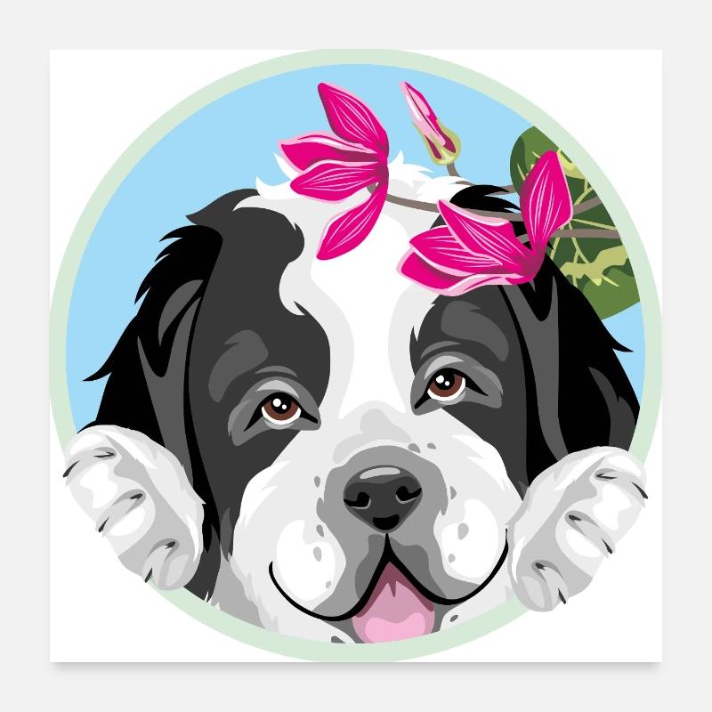Chien chiot Saint-Bernard avec des fleurs roses Poster 60 x 60 cm