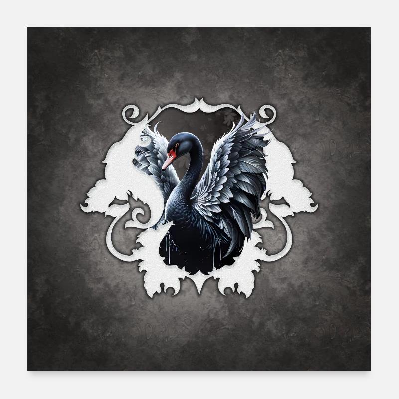 Im Schatten der Eleganz: Ein schwarzer Schwan. Poster 60x60 cm