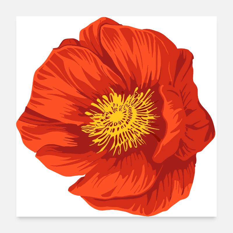 Blume rot  Poster 60x60 cm