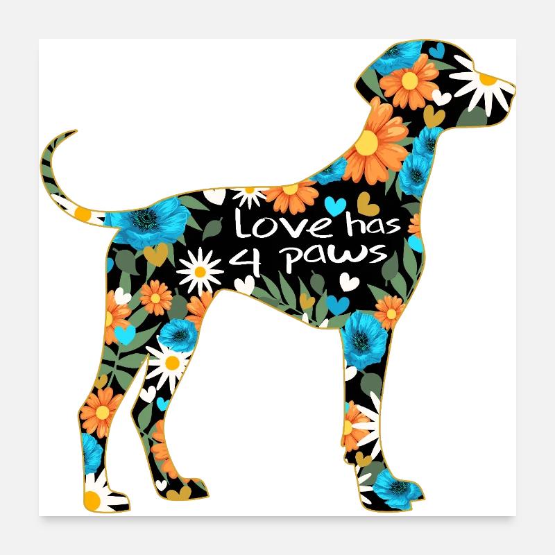 Weimaraner Hundemotiv - Poster 60x60 cm - Weiß