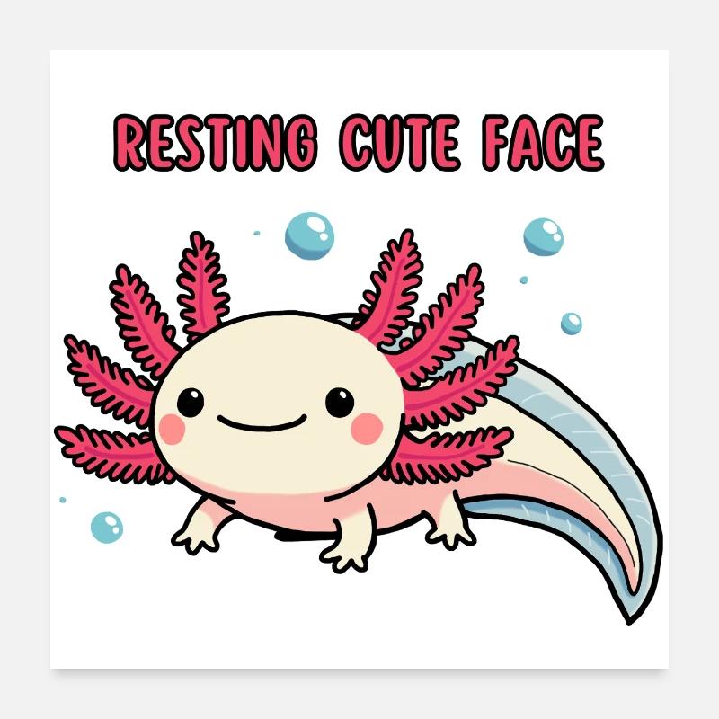 Axolotl - Resting cute face Poster 60x60 cm