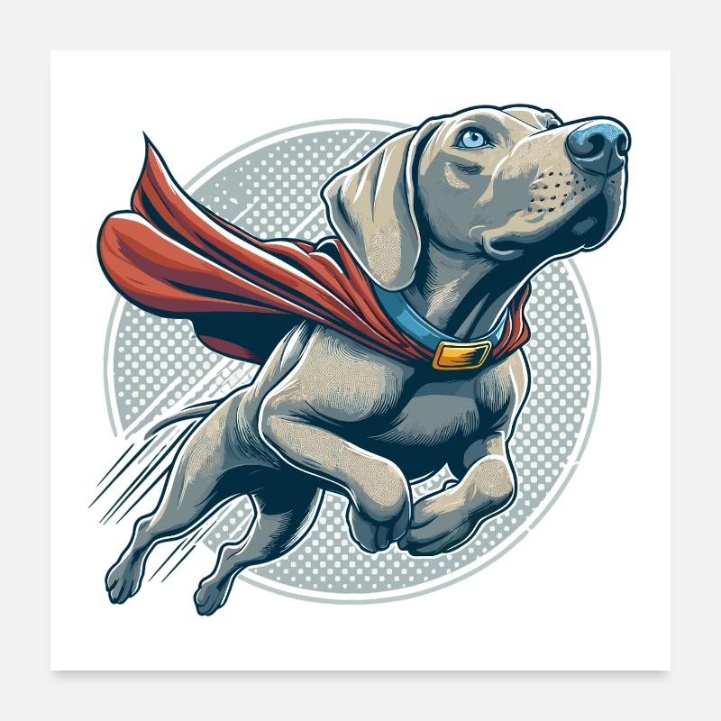 Super Hund Weimaraner Weimi Cape Geschenk Poster 60x60 cm