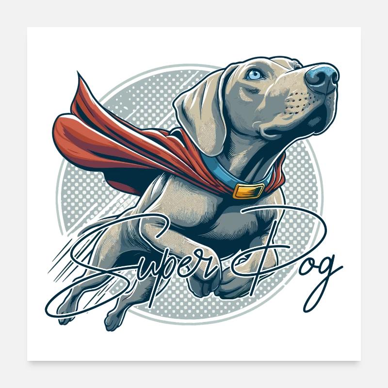 Super Hund Weimaraner Weimi Cape Geschenk Poster 60x60 cm