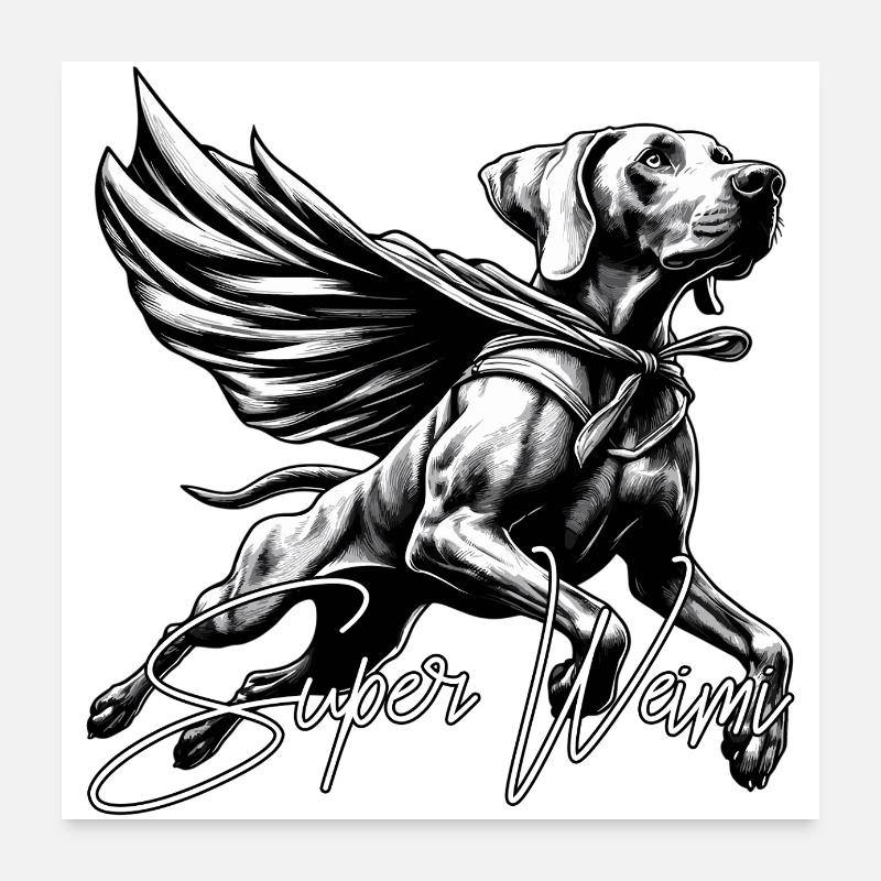 Super Dog Weimaraner Weimi Cape Cape Gift Poster 24" x 24" (60x60 cm)
