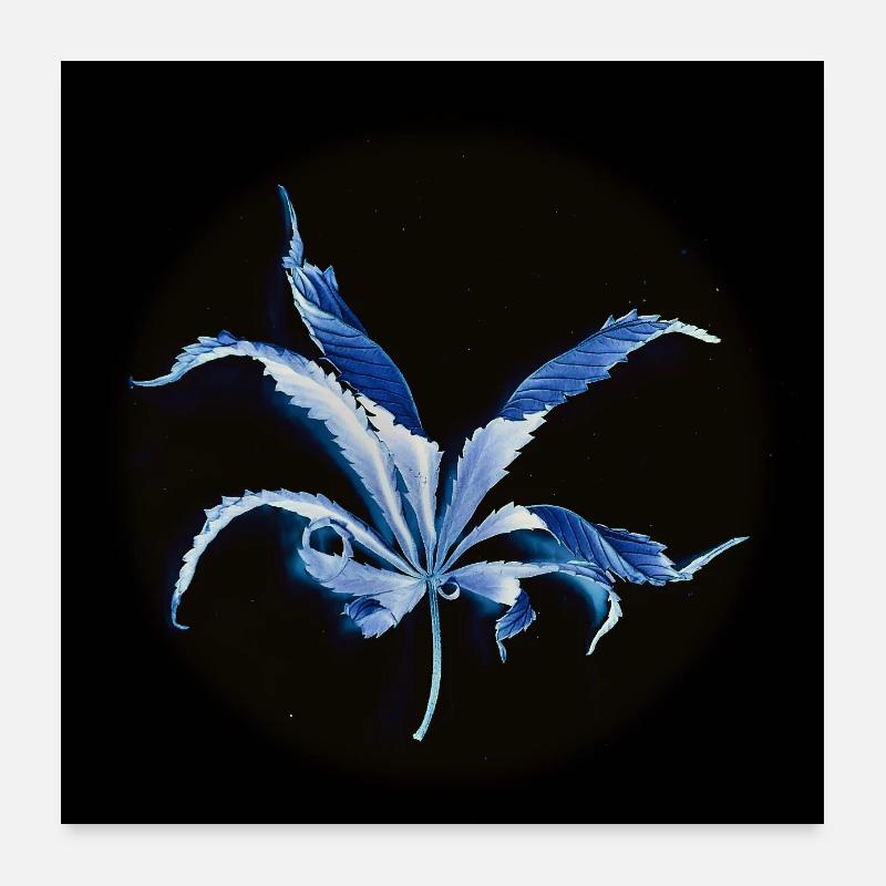 Feuille enroulée, inversée Poster 60 x 60 cm