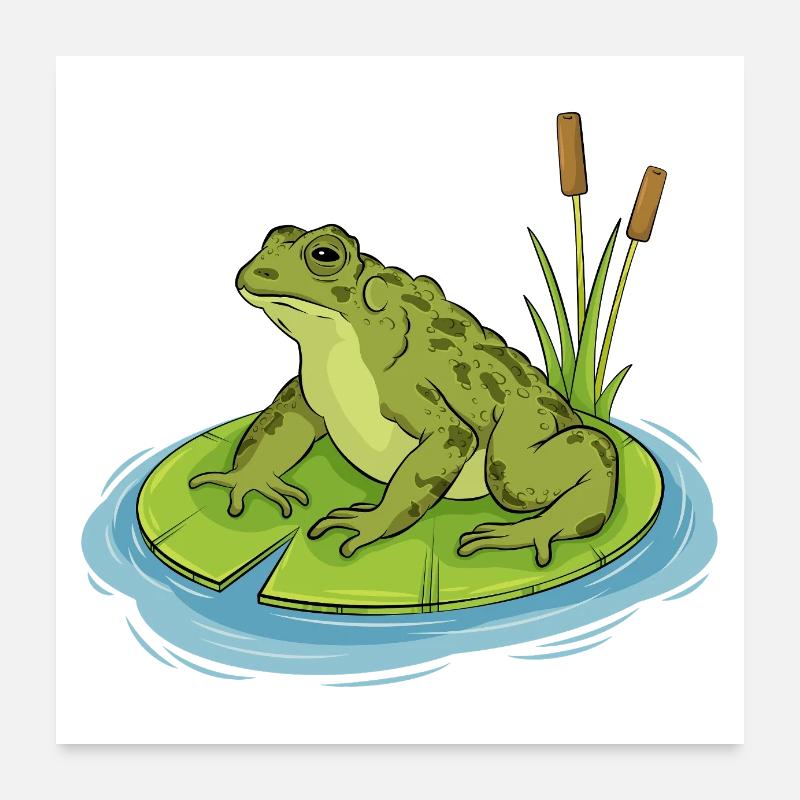 toad sitting on a lilypad Poster 24" x 24" (60x60 cm)