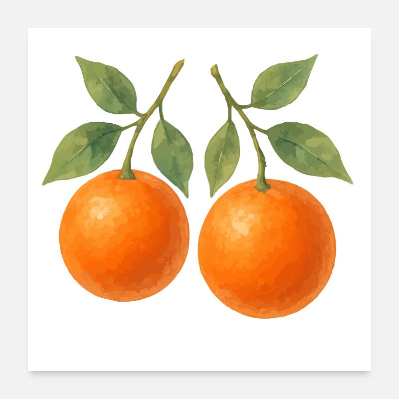 Oranges Poster 24" x 24" (60x60 cm)