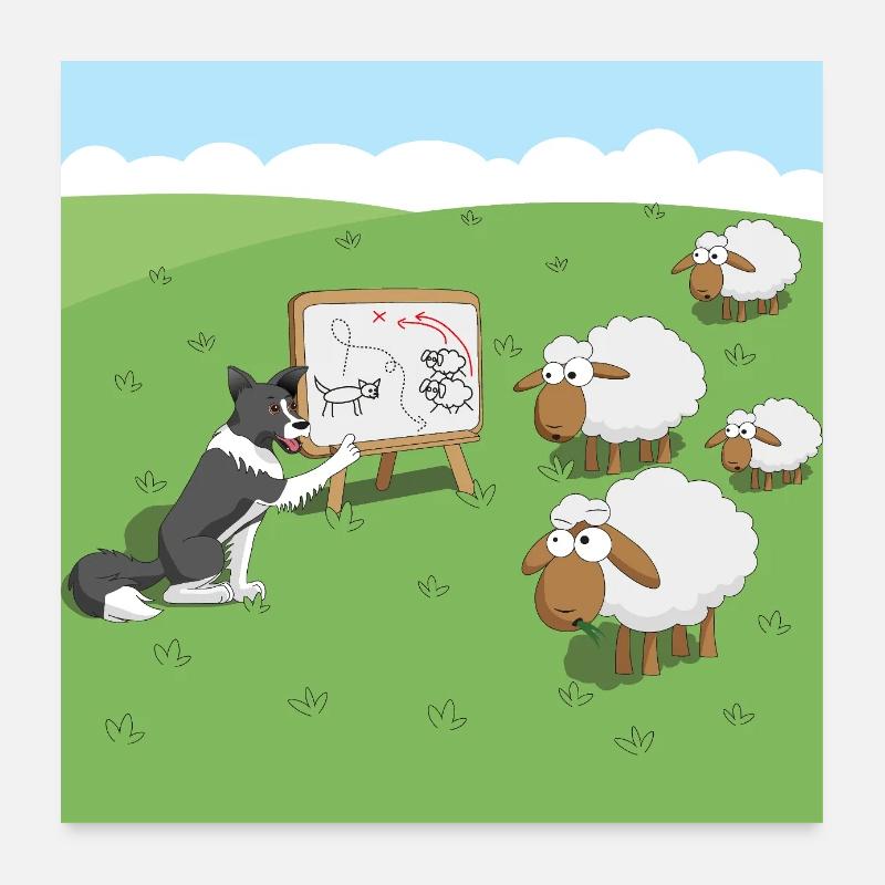 Border Collie avec mouton dessin animé Poster 60 x 60 cm