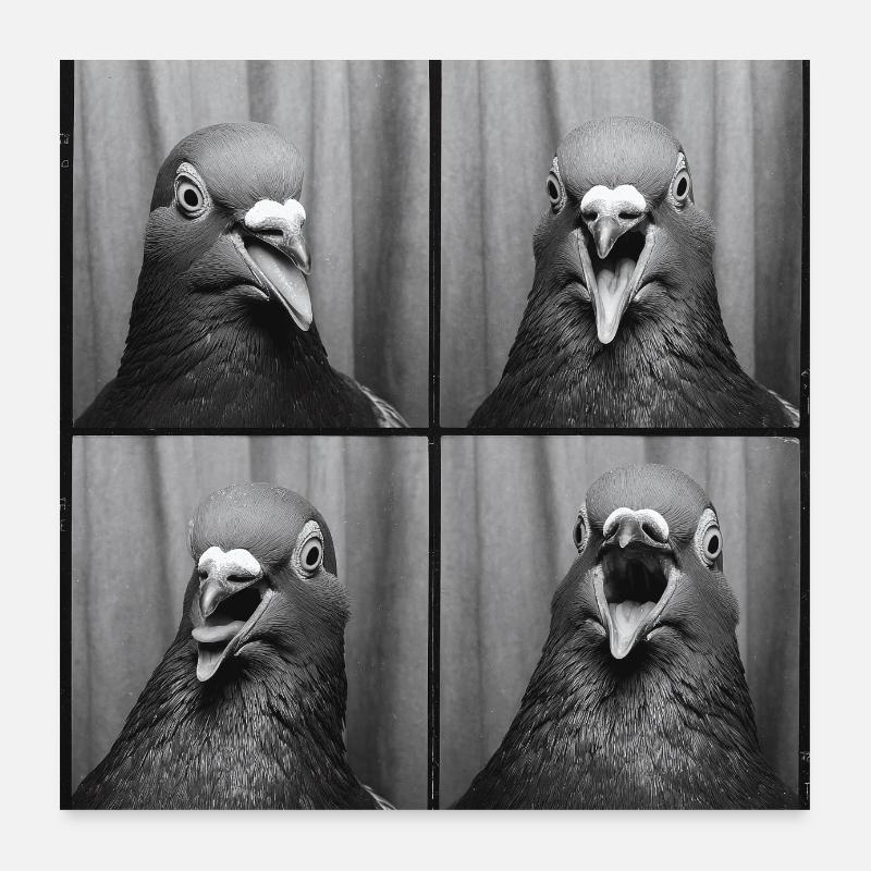 Funny Dove Photo Box Poster 24" x 24" (60x60 cm)
