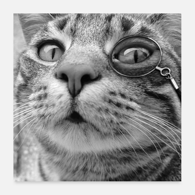 Monocle Cat Black & White Poster 24" x 24" (60x60 cm)