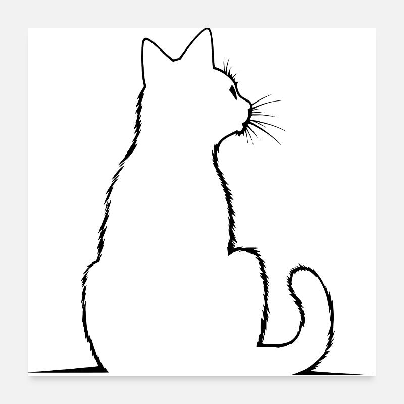 Cat, Cat Motif Poster 24" x 24" (60x60 cm)