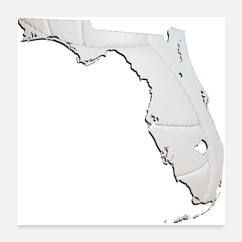 Real Volleyball in the Florida State Map Poster 24" x 24" (60x60 cm)