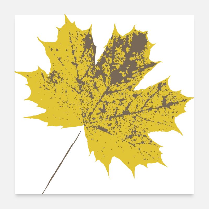 Feuille d’érable jaune - Poster 60 x 60 cm - blanc