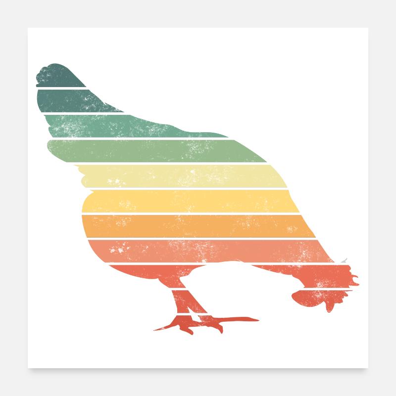 Huhn Hühner - Poster 60x60 cm - Weiß
