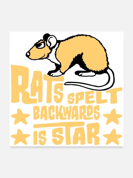 Rats Spelt Backwards Is Star Lustiger Ratte Spruch - Poster 24" x 24" (60x60 cm) - white - Front
