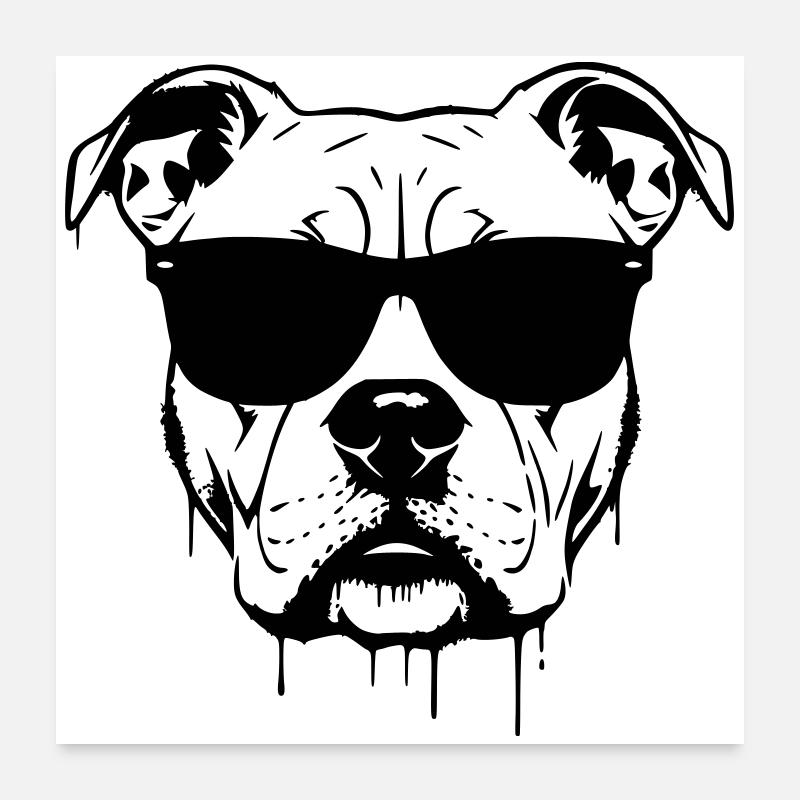 Pitbull Glasses Graffiti Poster 24" x 24" (60x60 cm)