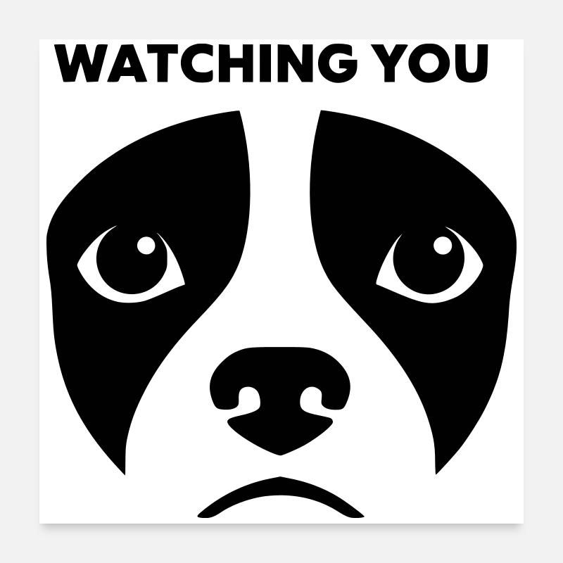 Dog View Watching You Saying Poster 24" x 24" (60x60 cm)