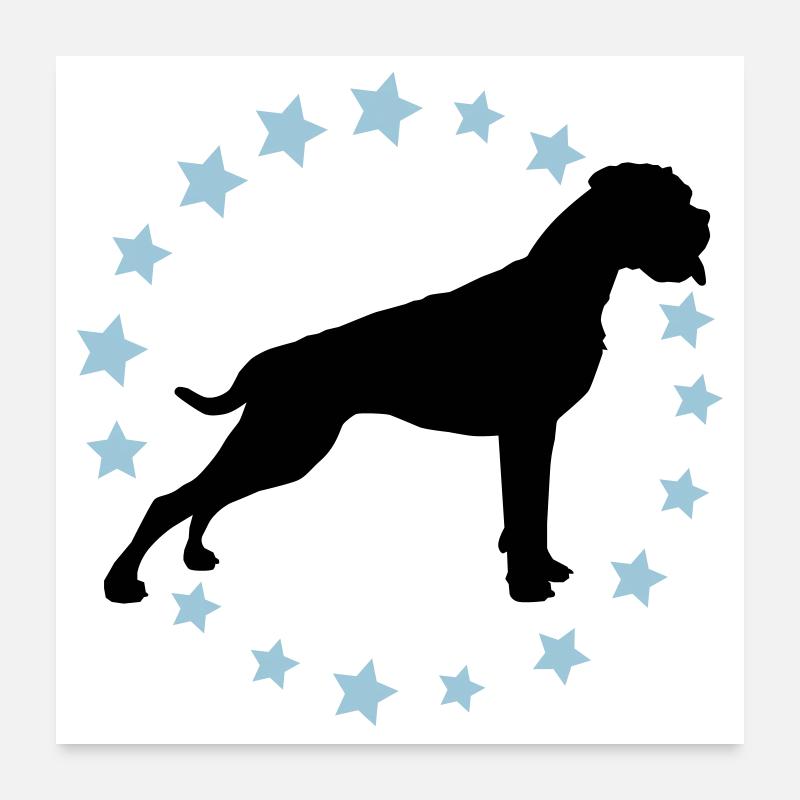 Boxer Sternenkreis 2 farb Poster 60x60 cm
