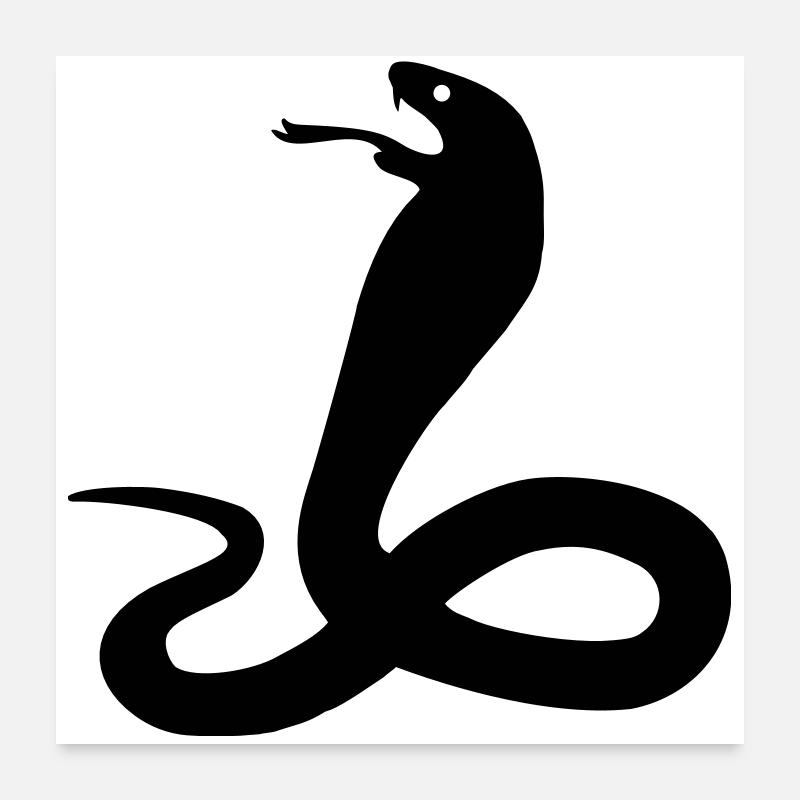 snake Poster 24" x 24" (60x60 cm)