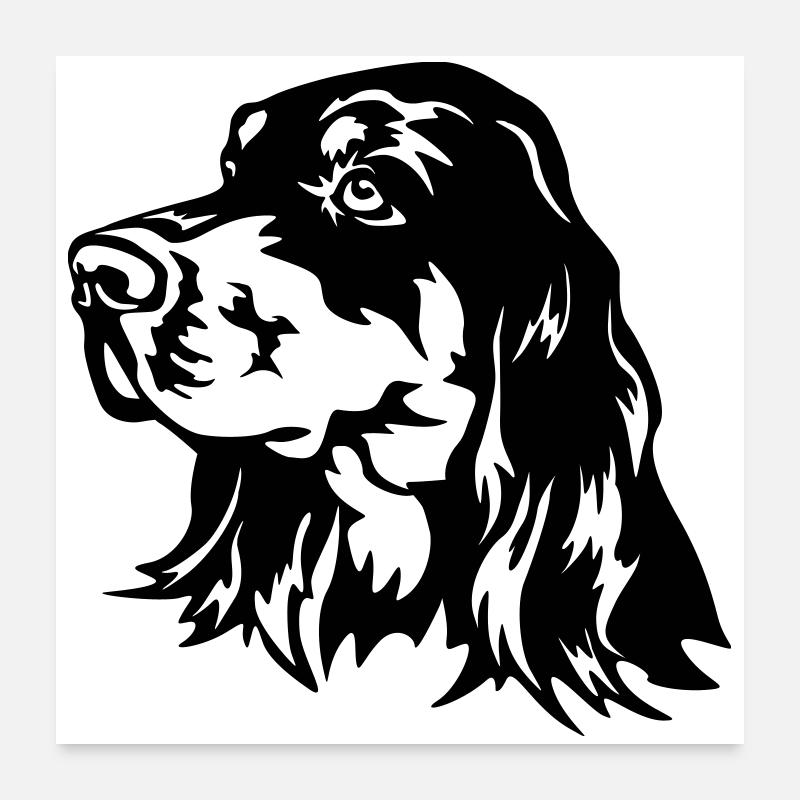 Gordon Setter Tête Poster 60 x 60 cm