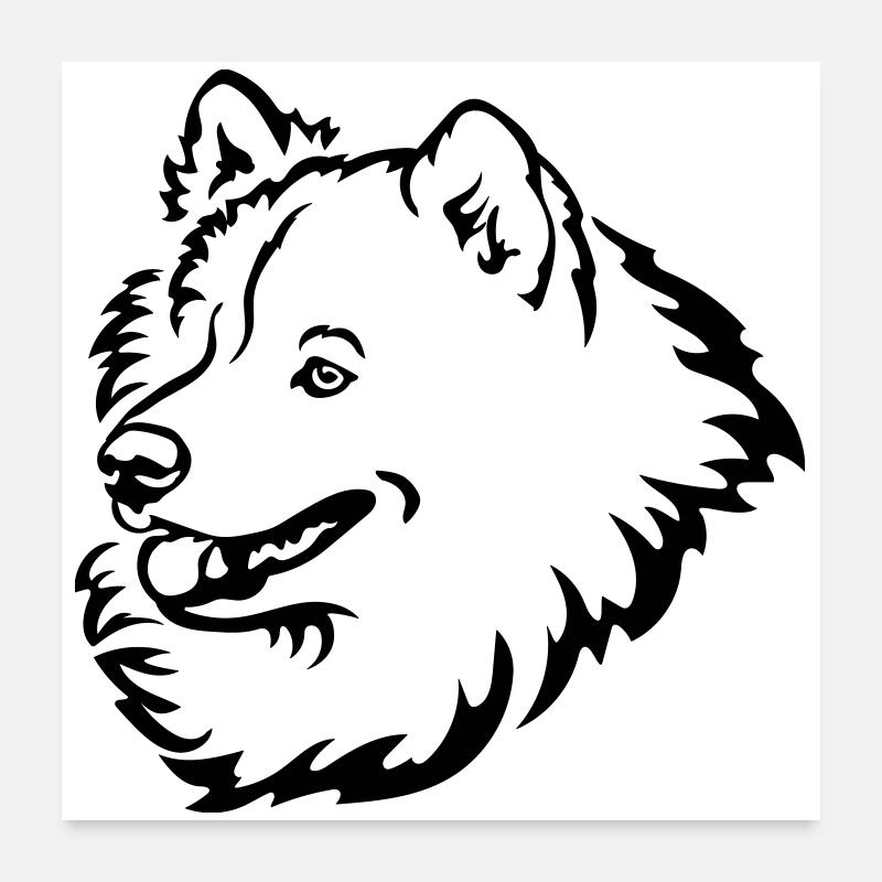 Samoyed head Poster 24" x 24" (60x60 cm)